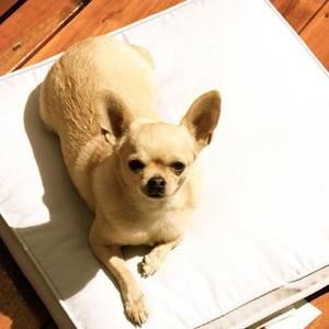 Meet your Posher, Kathy